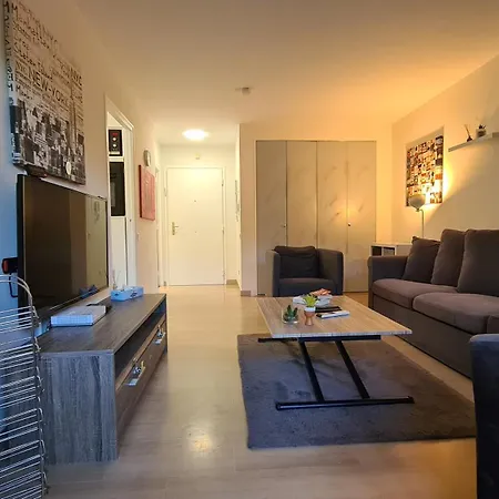 Conseil Immo -residence Avec Piscine, Avec Terrasse Pour 4 Personnes Apartment